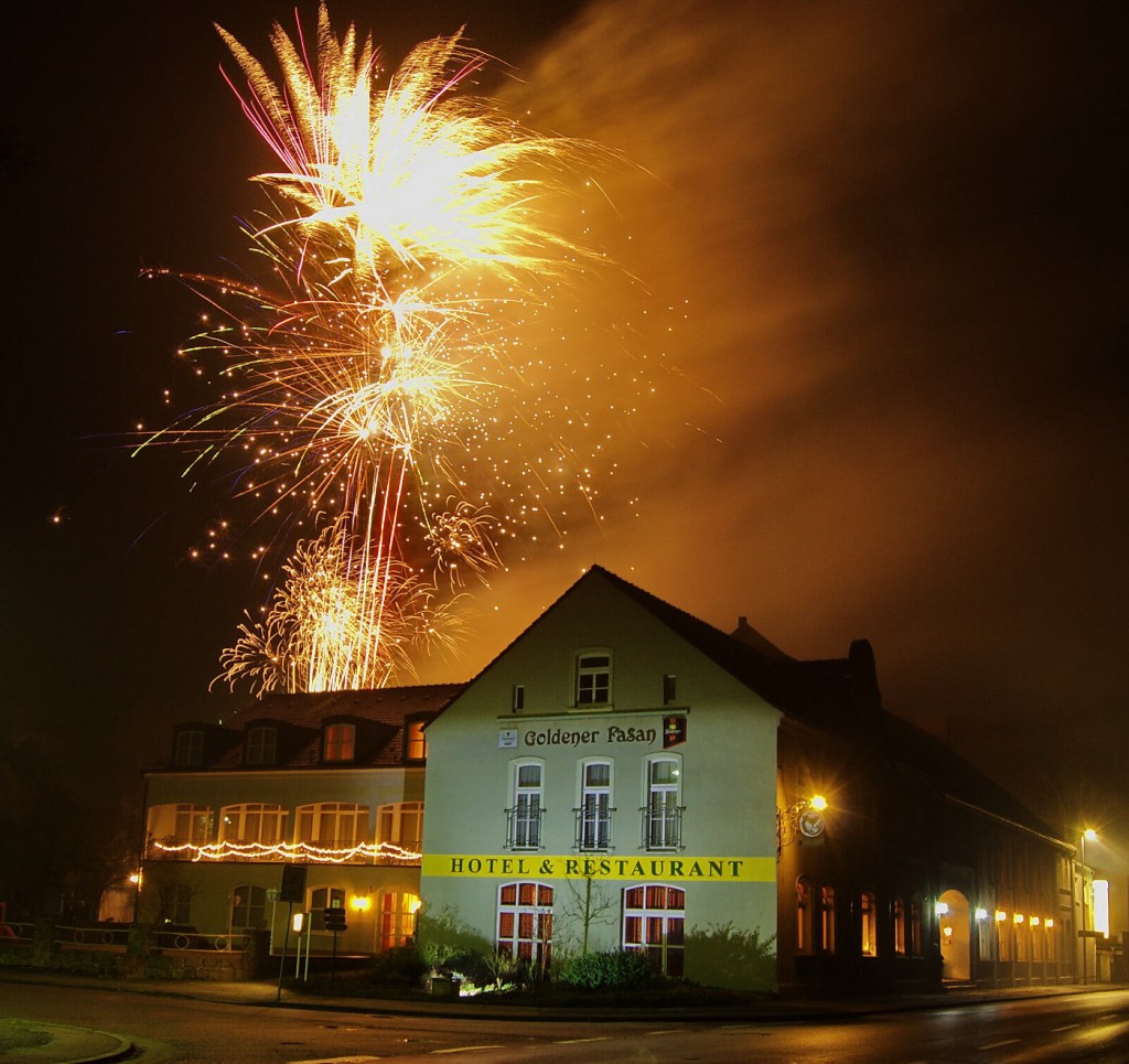 Feuerwerk – Heiraten im Gartenreich